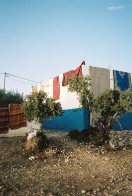  Grinning by Julius Bauer