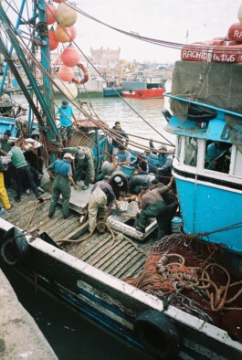  Grinning by Julius Bauer