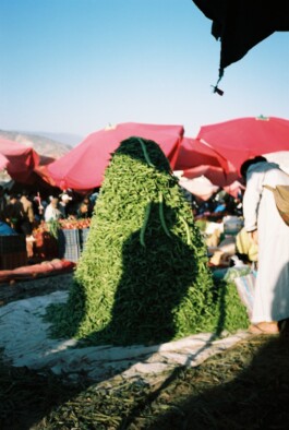  Grinning by Julius Bauer